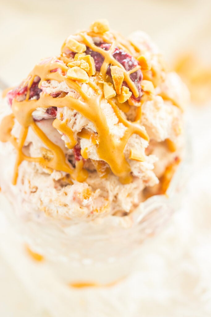 File 1 No Churn Peanut Butter & Jelly Ice Cream