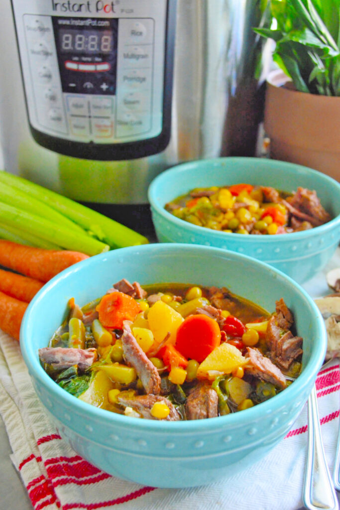 File 1 - Instant Pot Vegetable Beef Soup