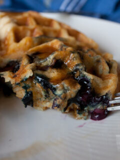 Blueberry Waffle Picture