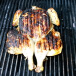Chicken Under A Brick Picture