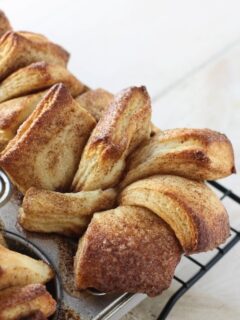 Cinnamon Sugar Fan Tan Rolls