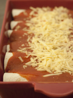 Enchilada Sauce Photo
