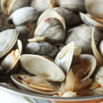 Clams and Fennel Photo
