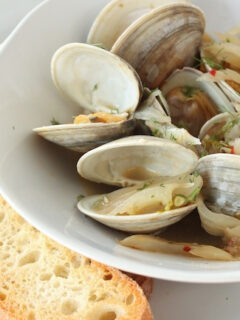 Clams and Fennel Picture