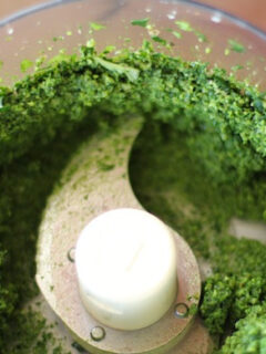 Kale Pesto Photo