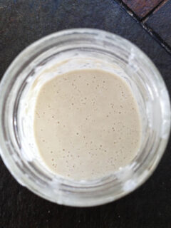Sourdough Starter: Day 4