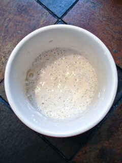 Sourdough Starter: Day 9