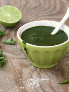 Cilantro Chutney Picture