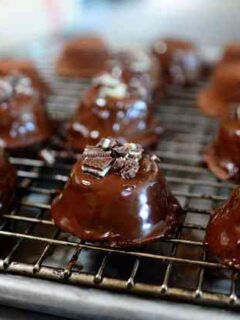 Pioneer Woman Brownie Bites Photo