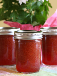 Rhubarb Jam Photo