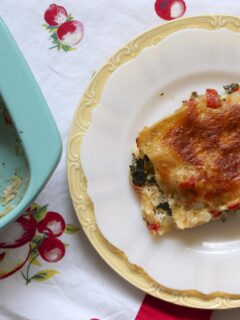 Chicken Lasagna Picture