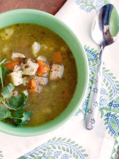 Grilled Chicken & Salsa Verde Soup Photo