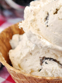 Peanut Butter Cup Ice Cream Picture