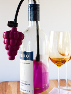 Air Cork Wine Preserver Photo