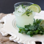 Lime Vodka Photo