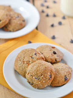 Sweet Potato Cookies Picture