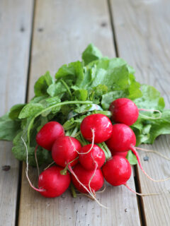 Roasted Radishes Picture