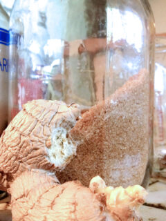 Homemade Teriyaki Sauce Picture