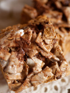 Indoor Smores Picture