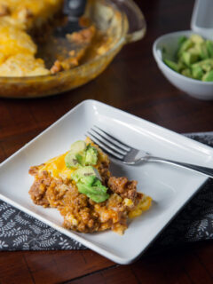 Hamburger Pie Picture