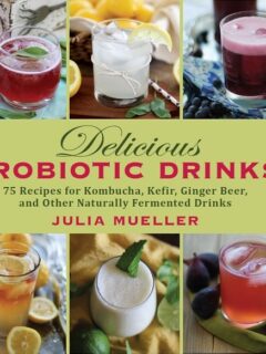 Delicious Probiotic Drinks Book