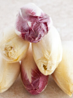 Endive Photo