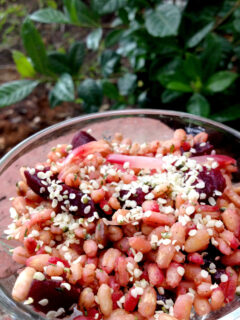 Barley Beet Salad Picture