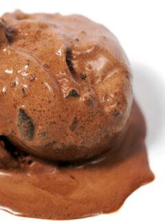 Thin Mint Ice Cream Photo
