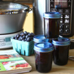 Blueberry Lemon Jam Photo