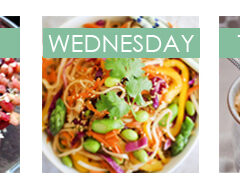 Vegetarian Meal Plan Photo