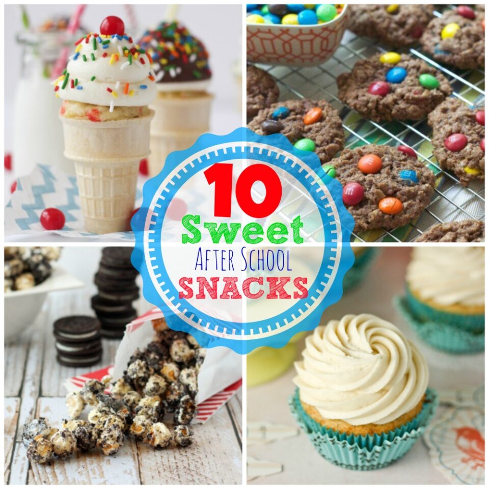 Smart and Sweet 10 After School Snacks Food Fanatic