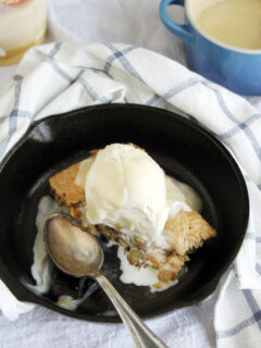 Applebee's Blondie Recipe Picture