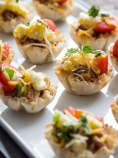 Crock Pot Chicken Taco Bites Photo