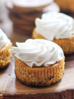Mini Pumpkin Cheesecakes Photo