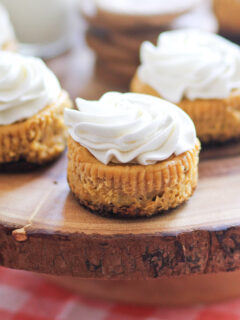Mini Pumpkin Cheesecakes Picture