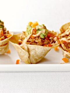Pumpkin Beer Chicken Tacos Photo