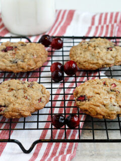 Cinnamon Chip Cranberry Oatmeal Cookies Photo