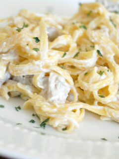 Gluten Free Chicken Alfredo Image