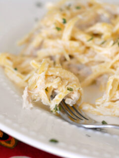 Gluten Free Chicken Alfredo Picture