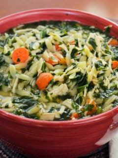 Turkey Florentine Soup Photo