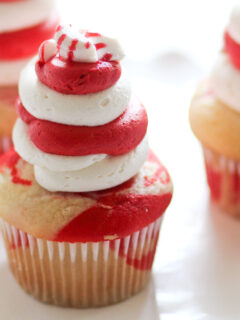 Candy Cane Cupcakes Photo
