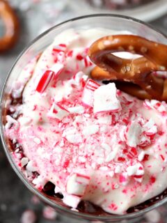 Double Chocolate Peppermint Dip Image