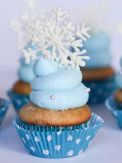 Frozen Cupcakes Photo