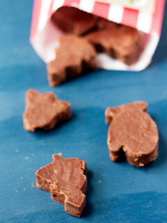 Strawberry Chocolate Fudge Picture