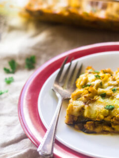 Low Carb Lasagna Pic