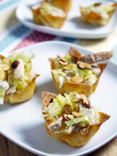 Asian Chicken Salad Cups Picture