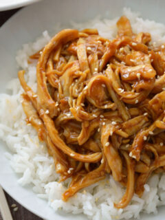 Crock Pot Teriyaki Chicken Photo