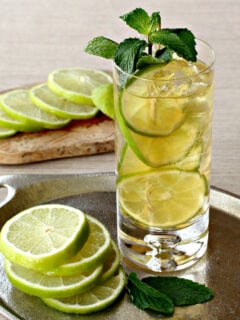 Gin and Ginger Fizz Photo