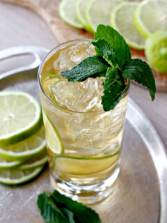 Gin and Ginger Fizz Picture
