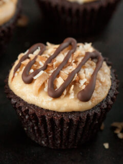 Gluten Free Peanut Butter Brownies Photo